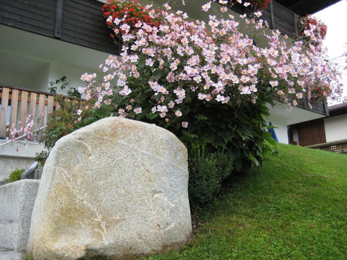 Appartements Bachler Brixen im Thale Ngoại thất bức ảnh